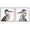 Stupell Industries Young Heron Birds 2 pc Framed Giclee Wall Art Set Design by Roozbeh Bahramali